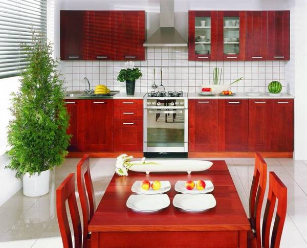 Фен шуй в кухонном дизайне — советы по расстановке - фото